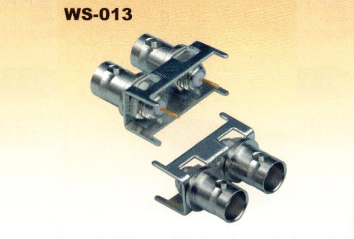 WS-013